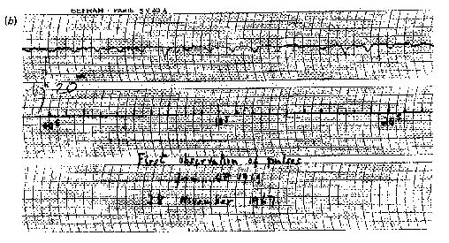 PSR B1919+21